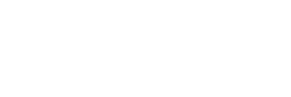 Investment